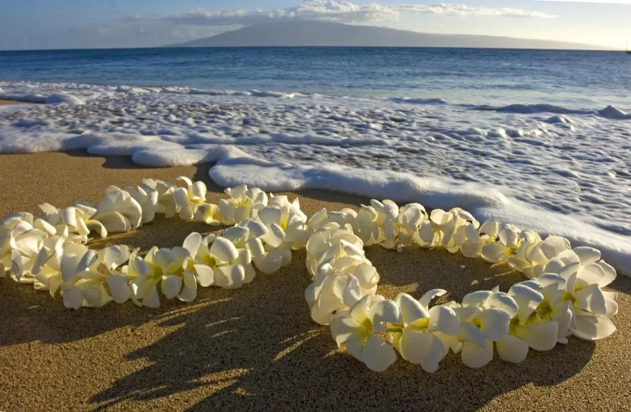 Ocean View Escape, Steps To Beach & Free Parking! Honolulu