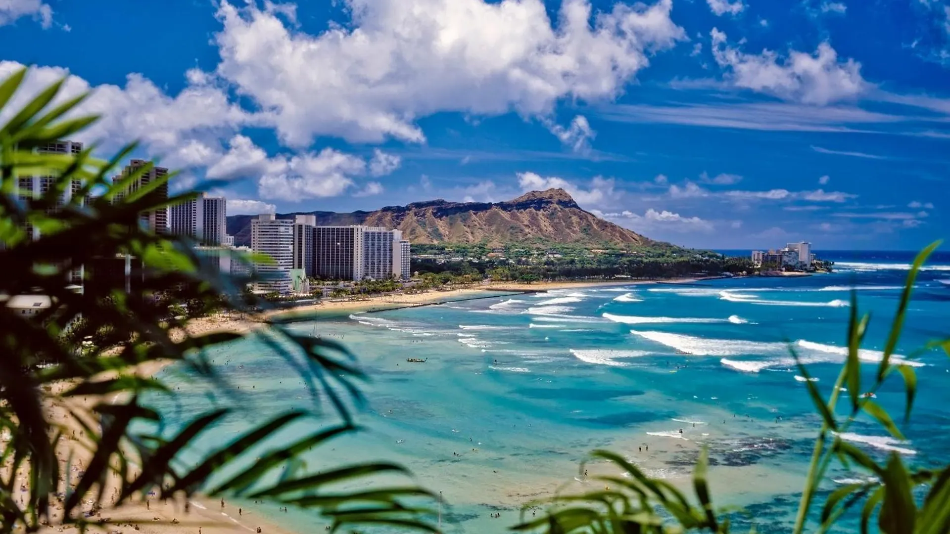 Ocean View Escape, Steps To Beach & Free Parking! Honolulu