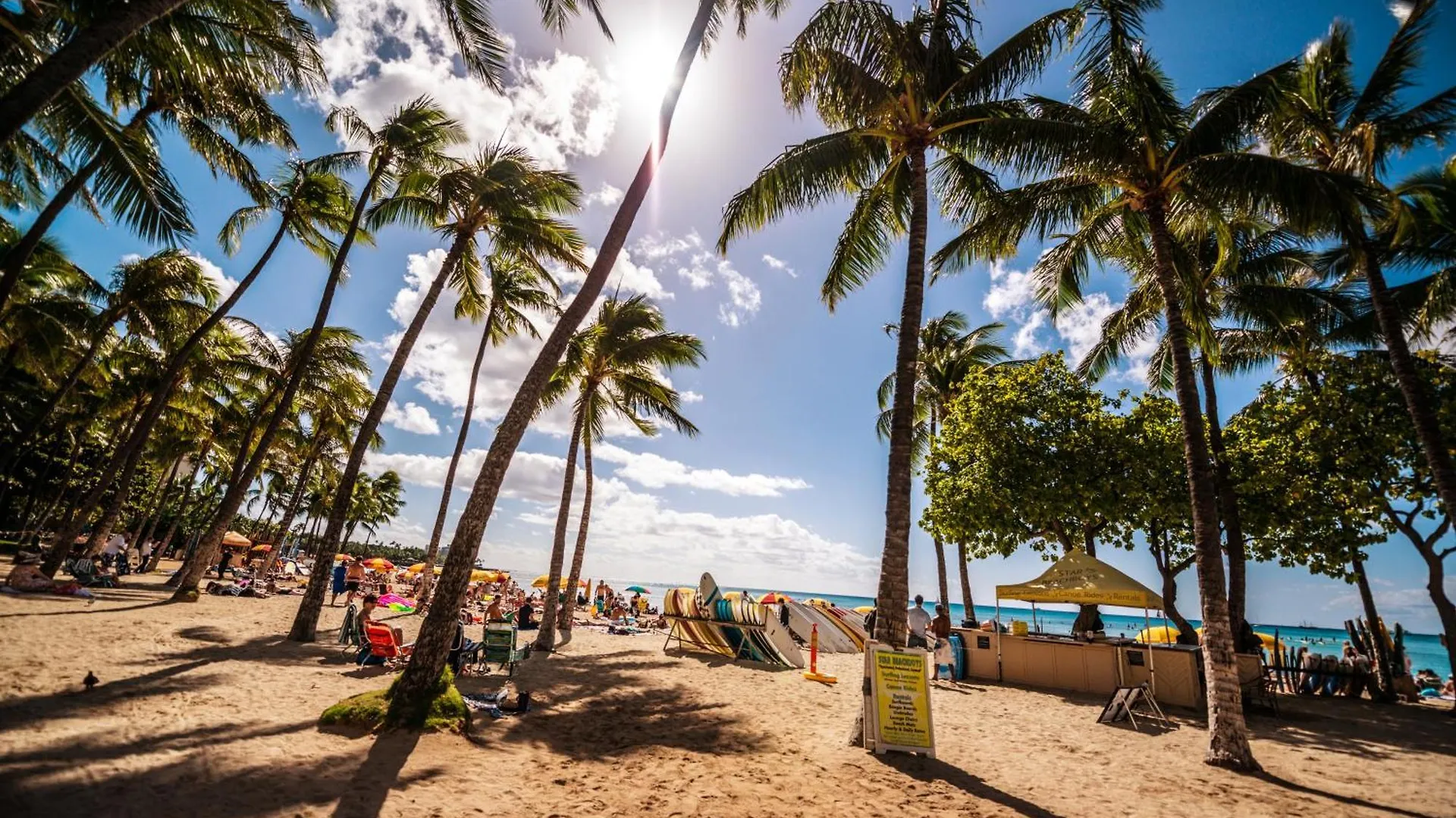 Ocean View Escape, Steps To Beach & Free Parking! Honolulu 0*,